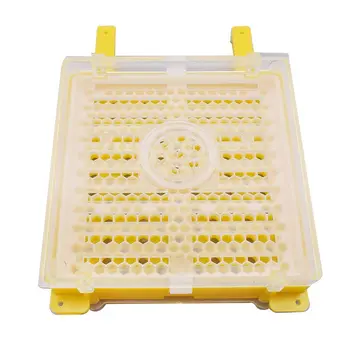 Экспортная коробка для разведения пчелиных маток с пластиковым оборудованием для выращивания маток, без набора для миграции